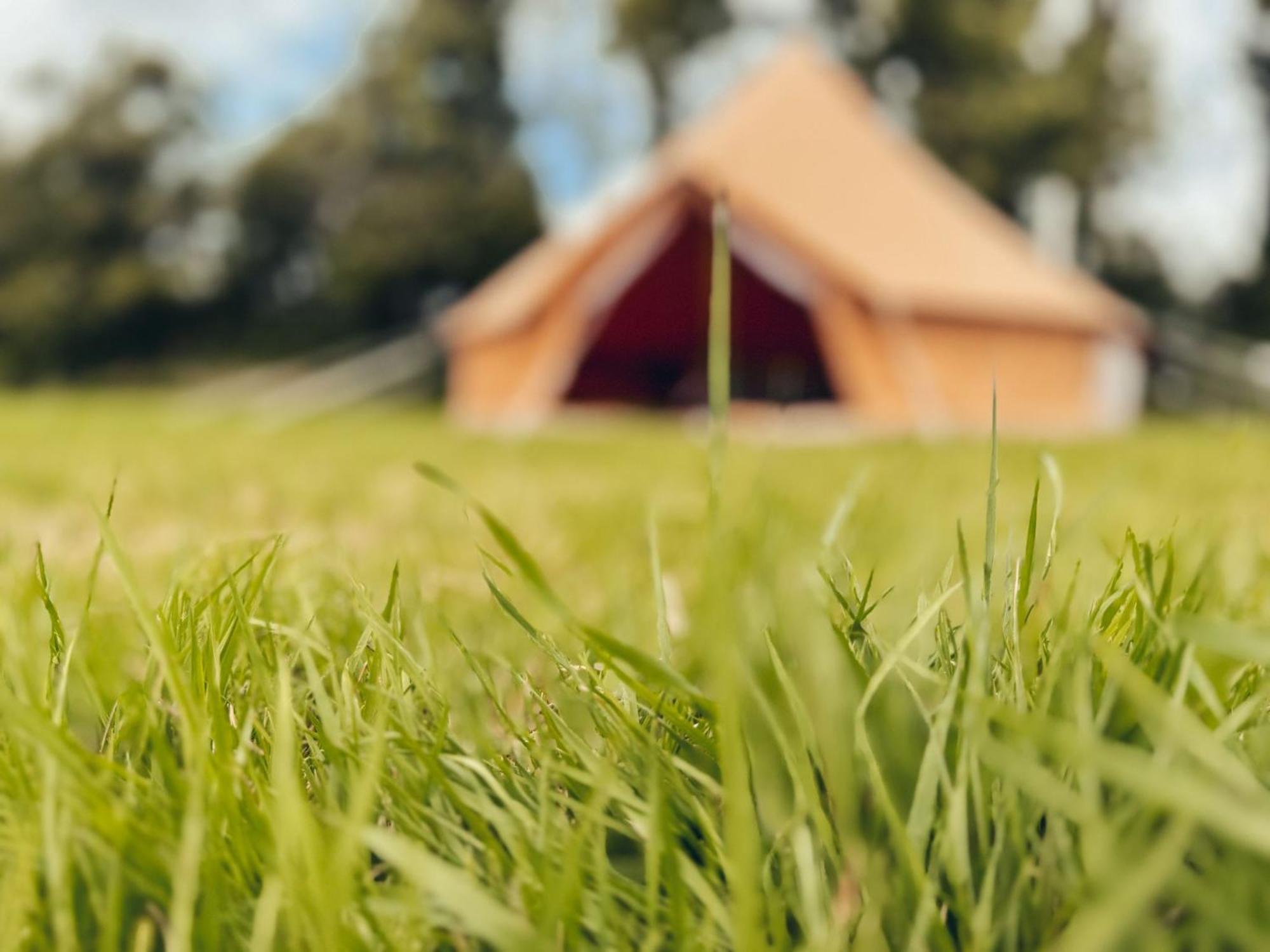 Fully Furnished Bell Tent 1 เซนต์ออสเทลล์ ภายนอก รูปภาพ