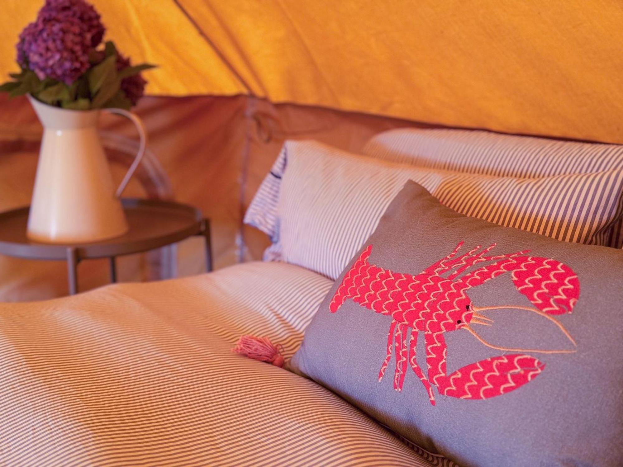 Fully Furnished Bell Tent 1 เซนต์ออสเทลล์ ภายนอก รูปภาพ